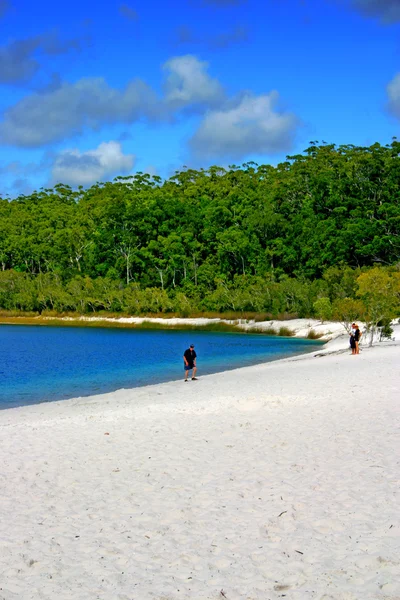 Fraser Island, Australia — Stock Photo, Image