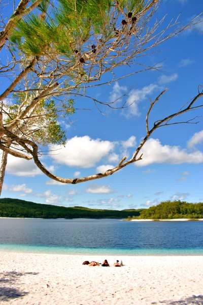 Fraser Island, Avustralya — Stok fotoğraf