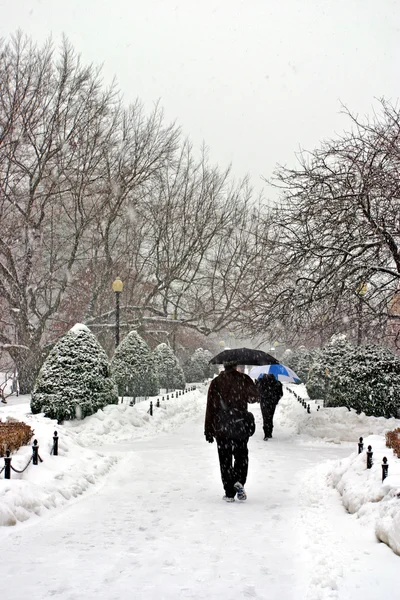 Archivbild eines schneereichen Winters in Boston, massachusetts, USA — Stockfoto