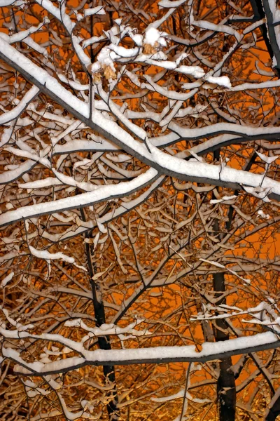 Stock bild av en snöande vinter vid Boston, massachusetts, usa — Stockfoto
