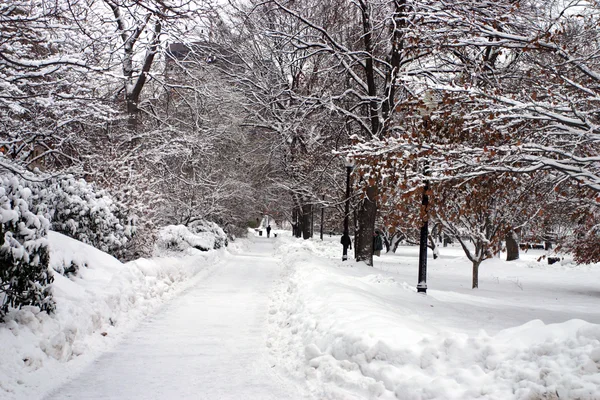 Stock imagen de un invierno nevando en Boston, Massachusetts, EE.UU. — Foto de Stock