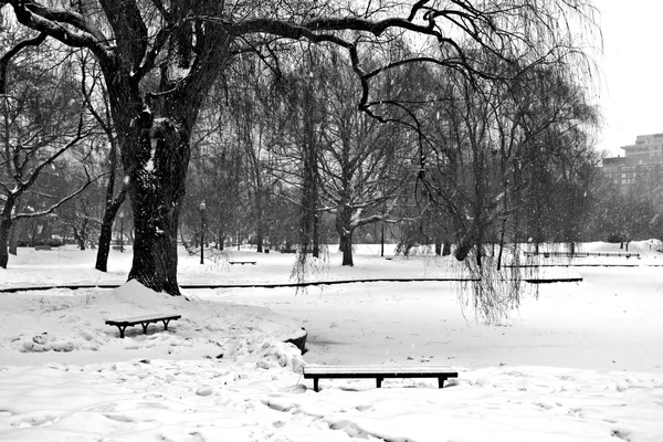 雪の降るボストンの冬のストック画像です — ストック写真