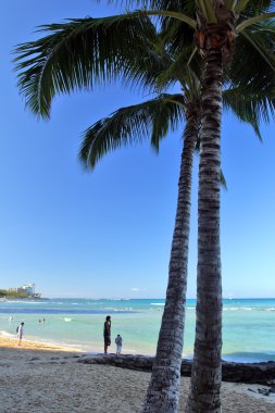 Beach Waikiki, Honolulu, Oahu, Hawaii