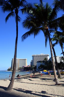 Beach Waikiki, Honolulu, Oahu, Hawaii