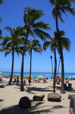 Beach Waikiki, Honolulu, Oahu, Hawaii