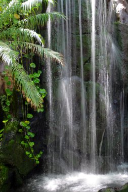 Beach Waikiki, Honolulu, Oahu, Hawaii