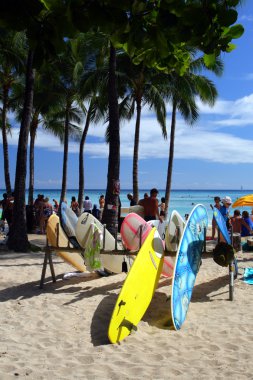 Beach Waikiki, Honolulu, Oahu, Hawaii