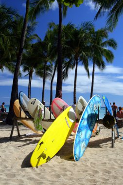 Beach Waikiki, Honolulu, Oahu, Hawaii