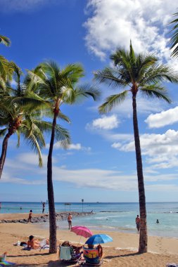 Beach Waikiki, Honolulu, Oahu, Hawaii