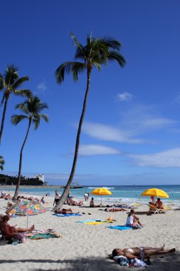 Beach Waikiki, Honolulu, Oahu, Hawaii