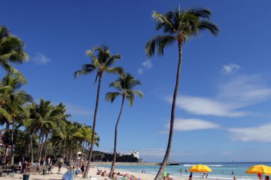 Beach Waikiki, Honolulu, Oahu, Hawaii