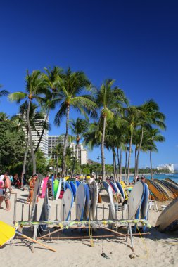 Beach Waikiki, Honolulu, Oahu, Hawaii