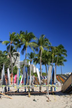 Beach Waikiki, Honolulu, Oahu, Hawaii