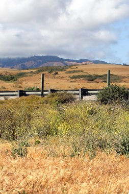 Kaliforniya'nın Central Coast, Big Sur, ABD