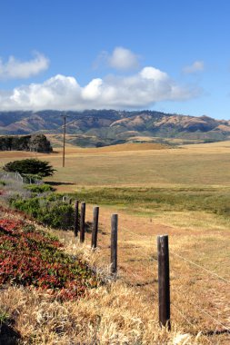Kaliforniya'nın Central Coast, Big Sur, ABD