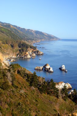 Kaliforniya'nın Central Coast, Big Sur, ABD