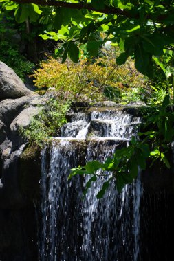 Beach Waikiki, Honolulu, Oahu, Hawaii