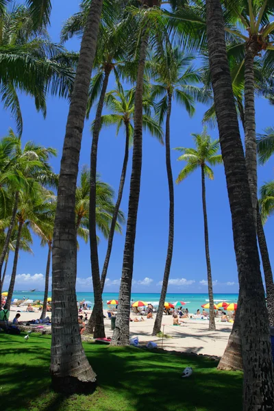 Plaży Waikiki, Honolulu, Oahu na Hawajach — Zdjęcie stockowe