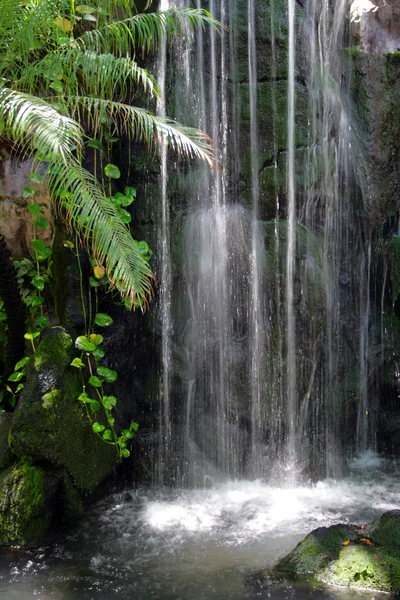 Pláž Waikiki, Honolulu, Oahu, Hawaii — Stock fotografie