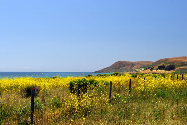 California Central Coast, Big Sur, États-Unis — Photo