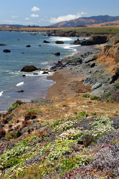 Kalifornie je centrální pobřeží, Big Sur, Usa — Stock fotografie