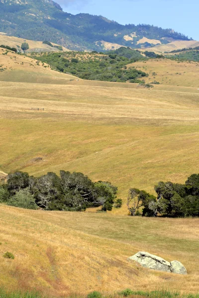 Kalifornie je centrální pobřeží, Big Sur, Usa — Stock fotografie