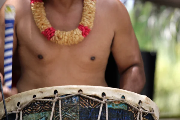 Citra saham dari budaya polinesia, tari, festival dan seni — Stok Foto