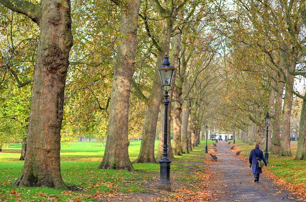 Een prachtig uitzicht op St. Jamess Park in Londen tijdens de lente — Stockfoto