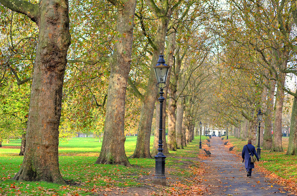 A beautiful view of St. Jamess Park in London during SprinG