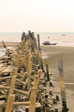 Plaj kirliliği. Plastik şişeler ve deniz sahilindeki diğer çöpler.