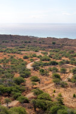Diamond Head, Honolulu, Hawaii