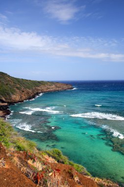 Hanauma Körfezi, Oahu, Hawaii