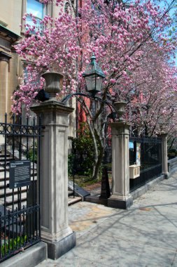 Back Bay ve komşu Beacon Hill Boston'ın en lüks ve arzu edilen mahalle olarak kabul edilir