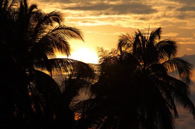 Tioman Island, Malezya