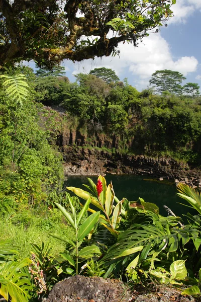 彩虹瀑布, 大伊萨恩德, 夏威夷 — 图库照片