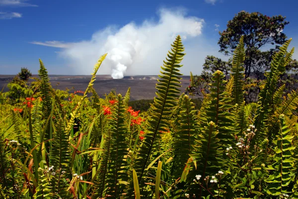 Parque Nacional Volcanes de Hawaii, EE.UU. — Foto de Stock