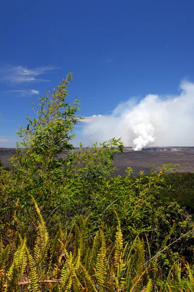 Park Narodowy Wulkany Hawaii, Stany Zjednoczone Ameryki — Zdjęcie stockowe