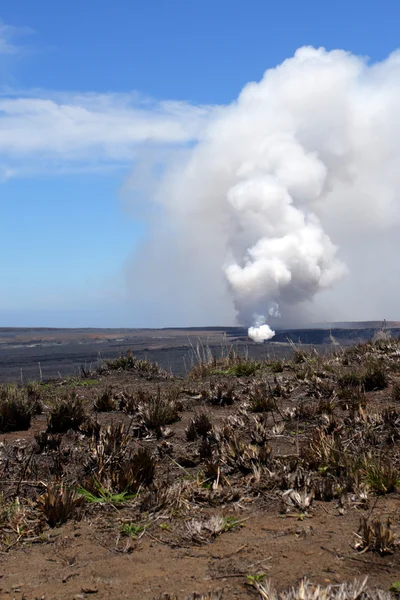 Hawaii Volcanoes National Park, Usa — Stock fotografie