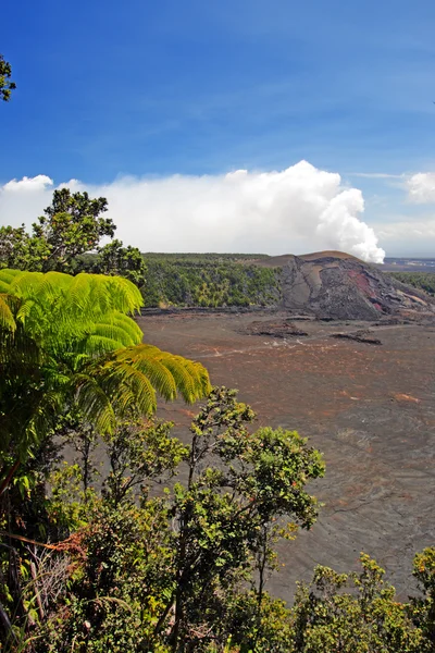 ハワイ火山国立公園、アメリカ合衆国 — ストック写真