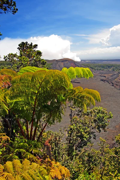 Гавайский национальный парк вулканов, США — стоковое фото
