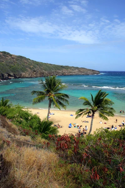 Bahía de Hanauma, Oahu, Hawai — Foto de Stock