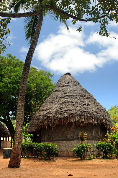 Lager bild av Polynesien kultur, dans, festival och konst — Stockfoto