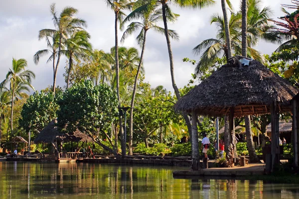 Stock beeld van Polynesië cultuur, dans, festival en kunst — Stockfoto