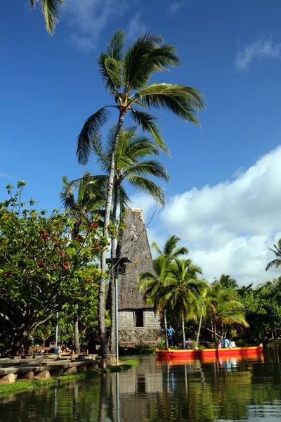 Lager bild av Polynesien kultur, dans, festival och konst — Stockfoto