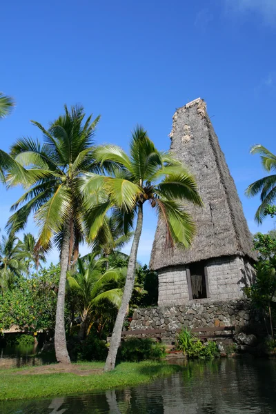 Lager bild av Polynesien kultur, dans, festival och konst — Stockfoto