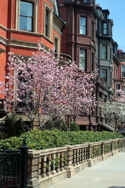 Back Bay y el vecino Beacon Hill son considerados el barrio más lujoso y deseable de Boston —  Fotos de Stock