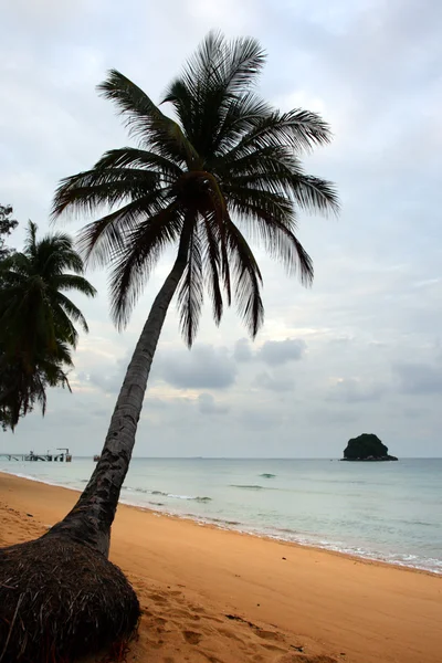 Pulau Tioman, Malaysia — Stok Foto