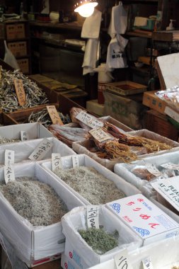 Tsukiji Balık pazarı, tokyo, Japonya