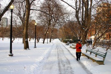 Boston, Massachusetts, ABD 'de kar yağışının stok görüntüsü
