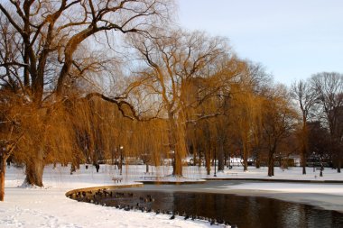 Boston, Massachusetts, ABD 'de kar yağışının stok görüntüsü